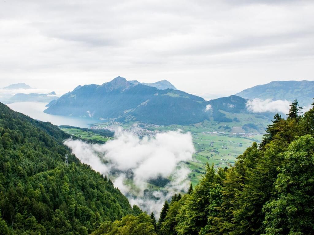 classic single room | hypo-allergenic bedding, down duvets, in-room safe