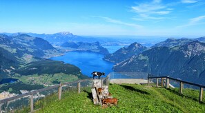 Blick auf die Berge