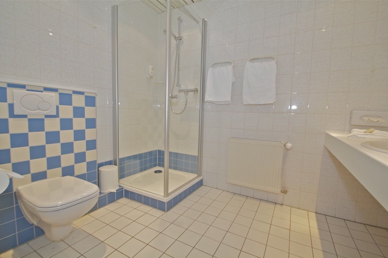 business double room | bathroom | shower, hair dryer, towels