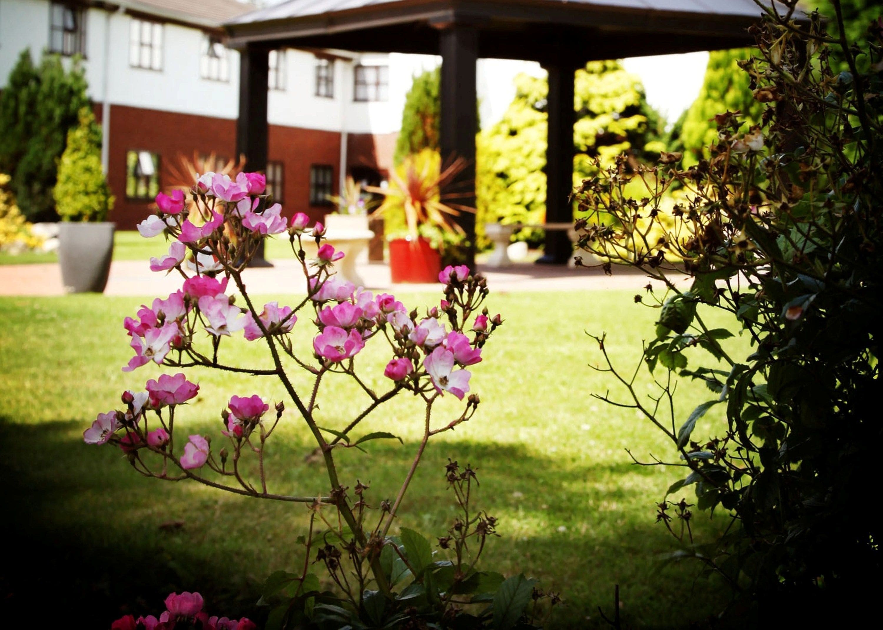 Foto - Beaufort Park Hotel