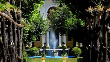 Vista desde la propiedad