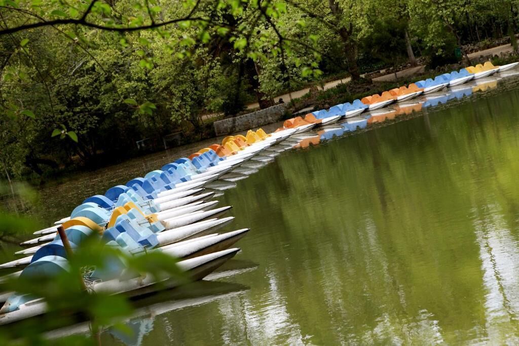 Une rangée de canoës était alignée le long d’une étendue d’eau calme, entourée d’une végétation luxuriante.