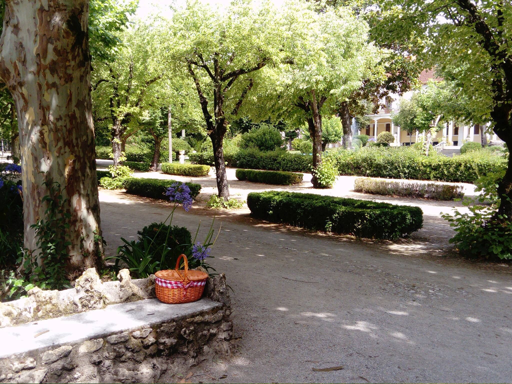 A paved pathway lined with neatly trimmed hedges and trees, a stone wall with a basket, and a building in the background.