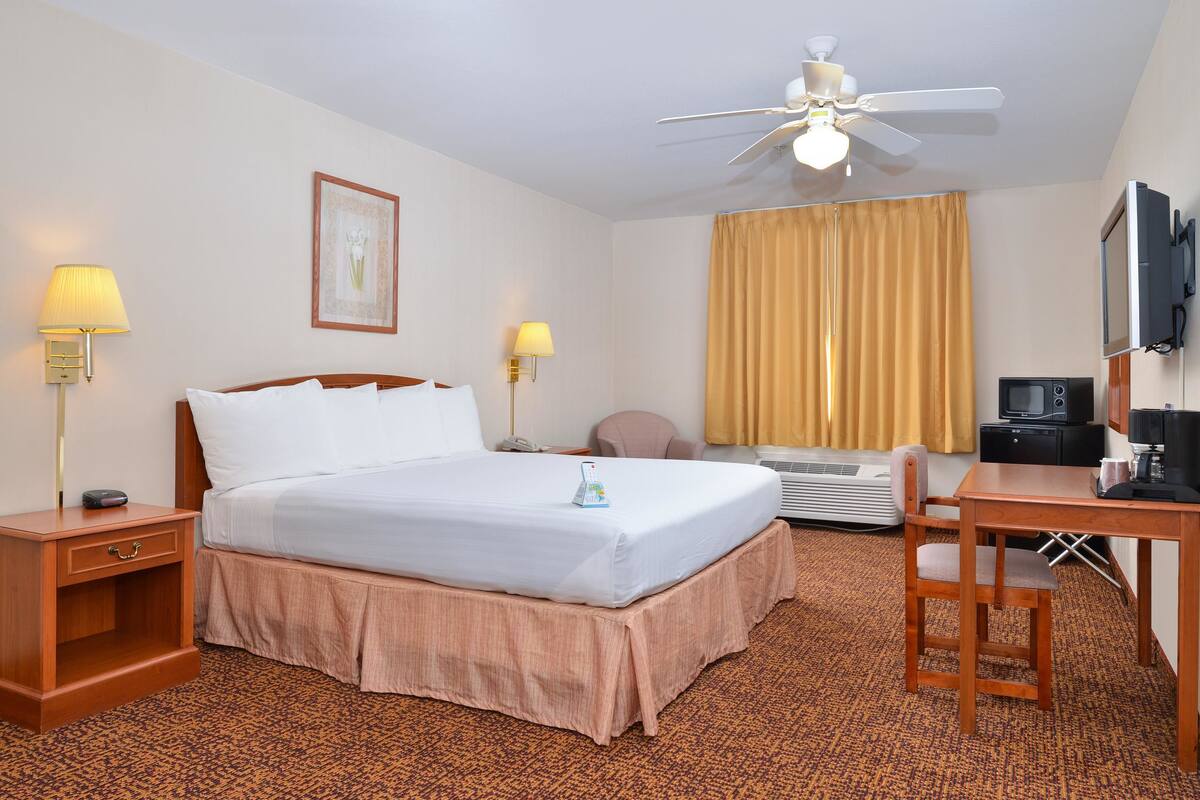 Une chambre d’hôtel équipée d’un lit, de lampes de chevet, d’un bureau avec une chaise, d’une télévision et d’un ventilateur de plafond.