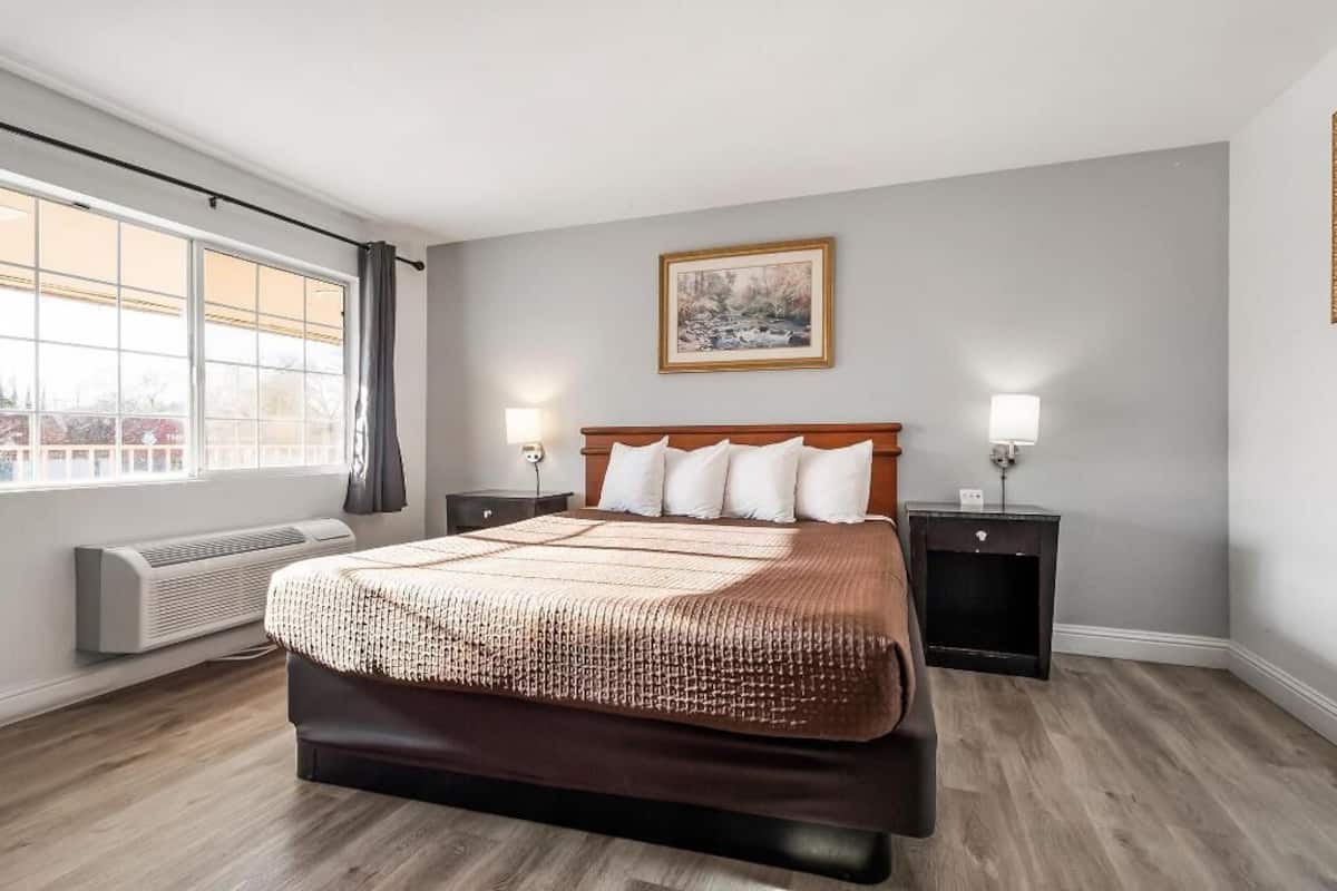 A hotel room with a large bed, bedside lamps, a radiator, and a window with a view.