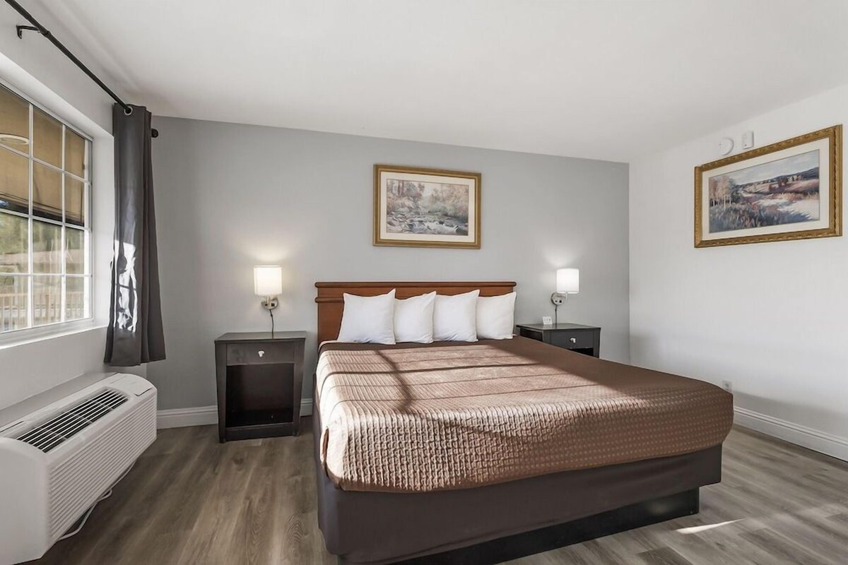 Quarto de hotel com uma cama grande, duas mesas de cabeceira, uma janela com cortinas, um quadro na parede e um aparelho de ar condicionado.