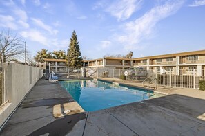 Outdoor pool, sun loungers