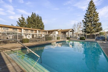 Outdoor pool, pool loungers