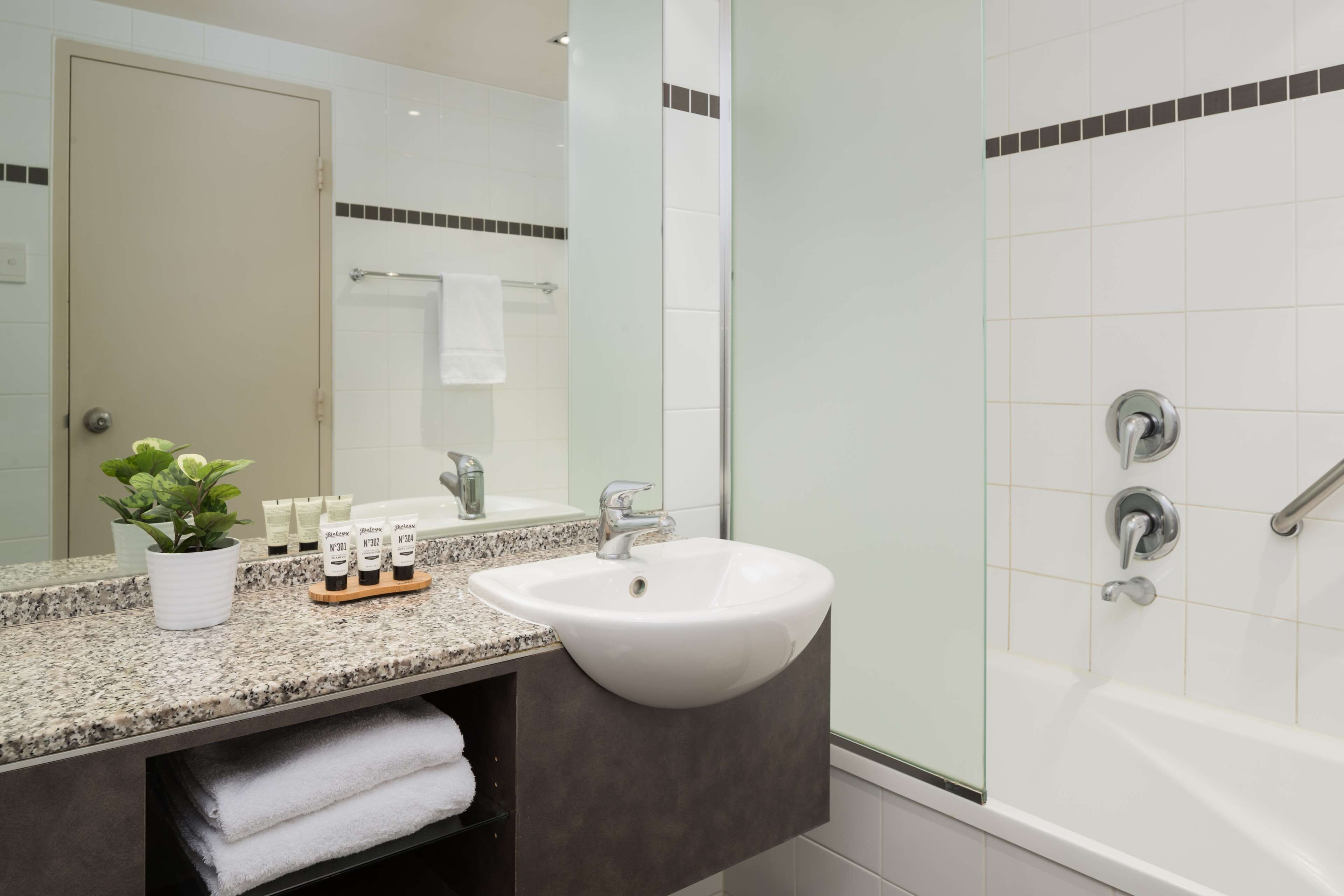 Une salle de bain moderne avec un comptoir en granit, un lavabo blanc, un grand miroir, une plante en pot et une douche séparée par une paroi de verre.