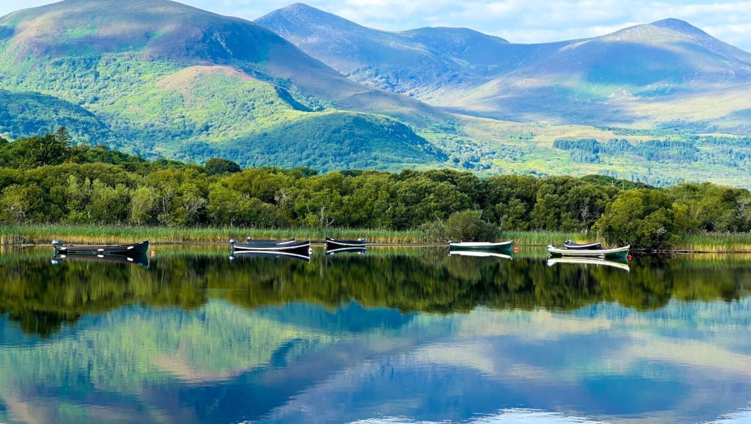 deluxe king room | lake view