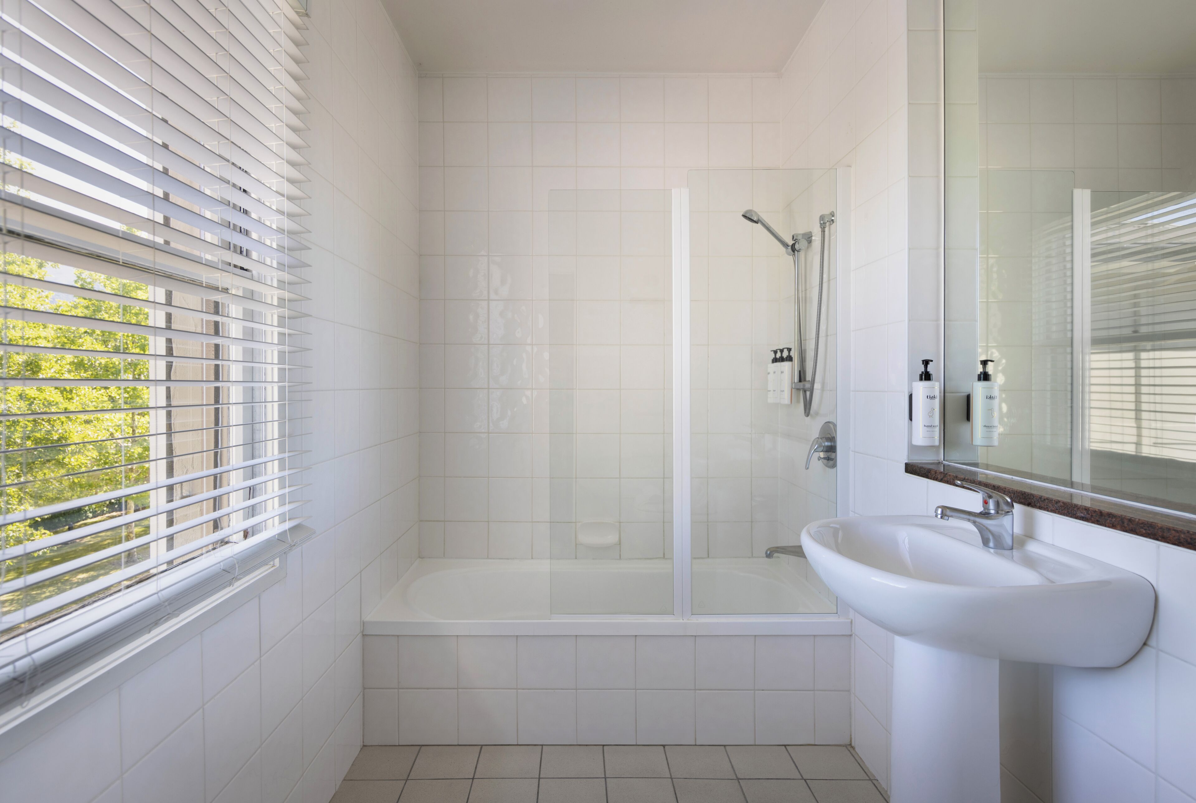 combined shower/bathtub, free toiletries, hair dryer, towels