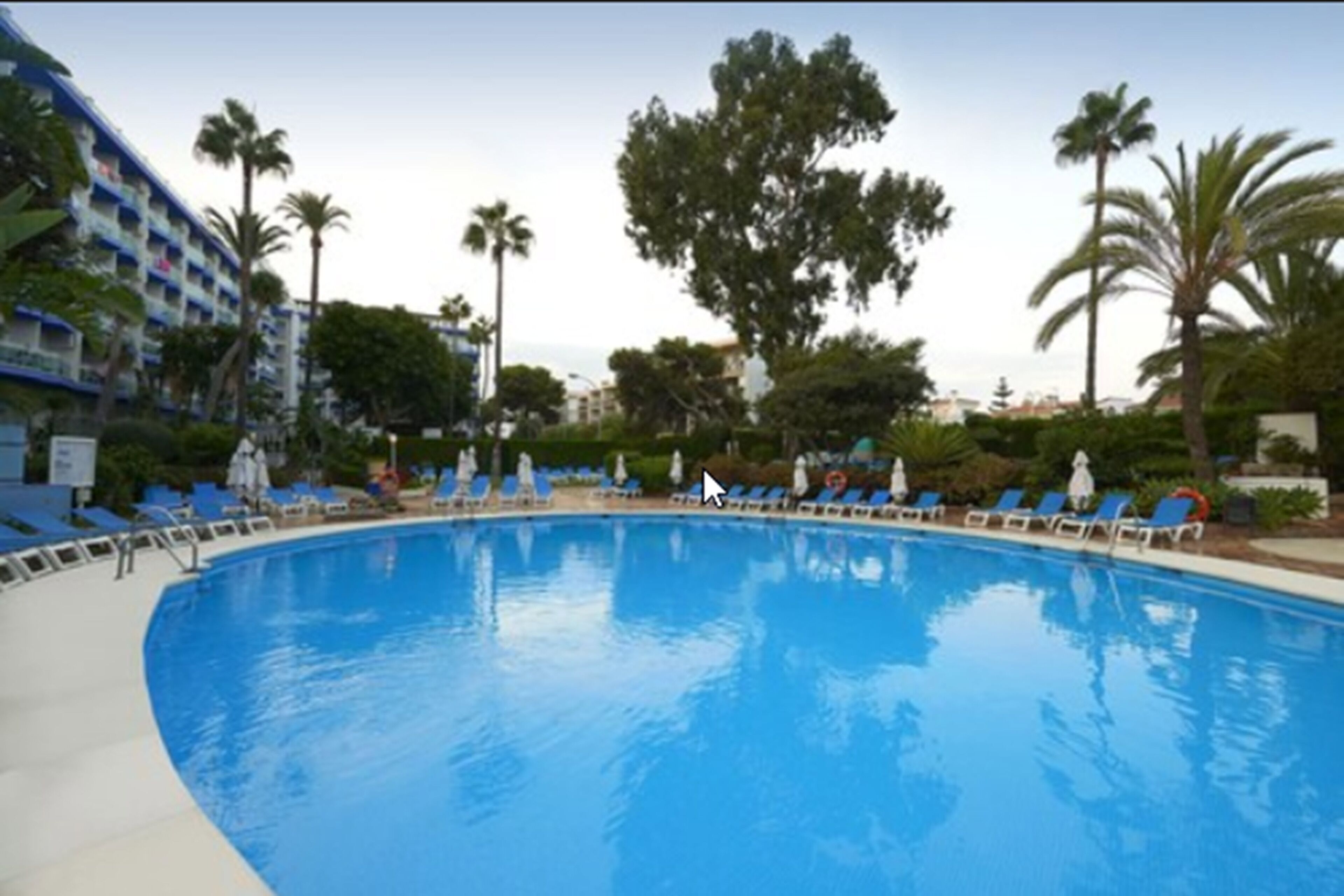 Une piscine à l’eau bleue, entourée de chaises longues et de palmiers.