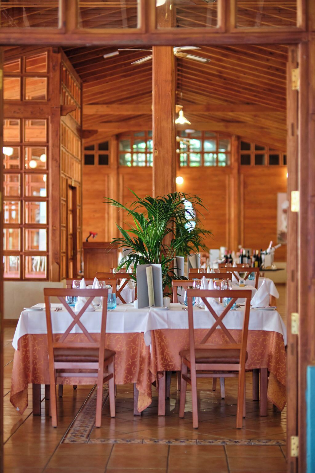A dining area with wooden tables and chairs, a potted plant, and a view of the interior through large windows.