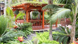 Un quiosco de madera rodeado de exuberante vegetación tropical y un sendero de piedra.