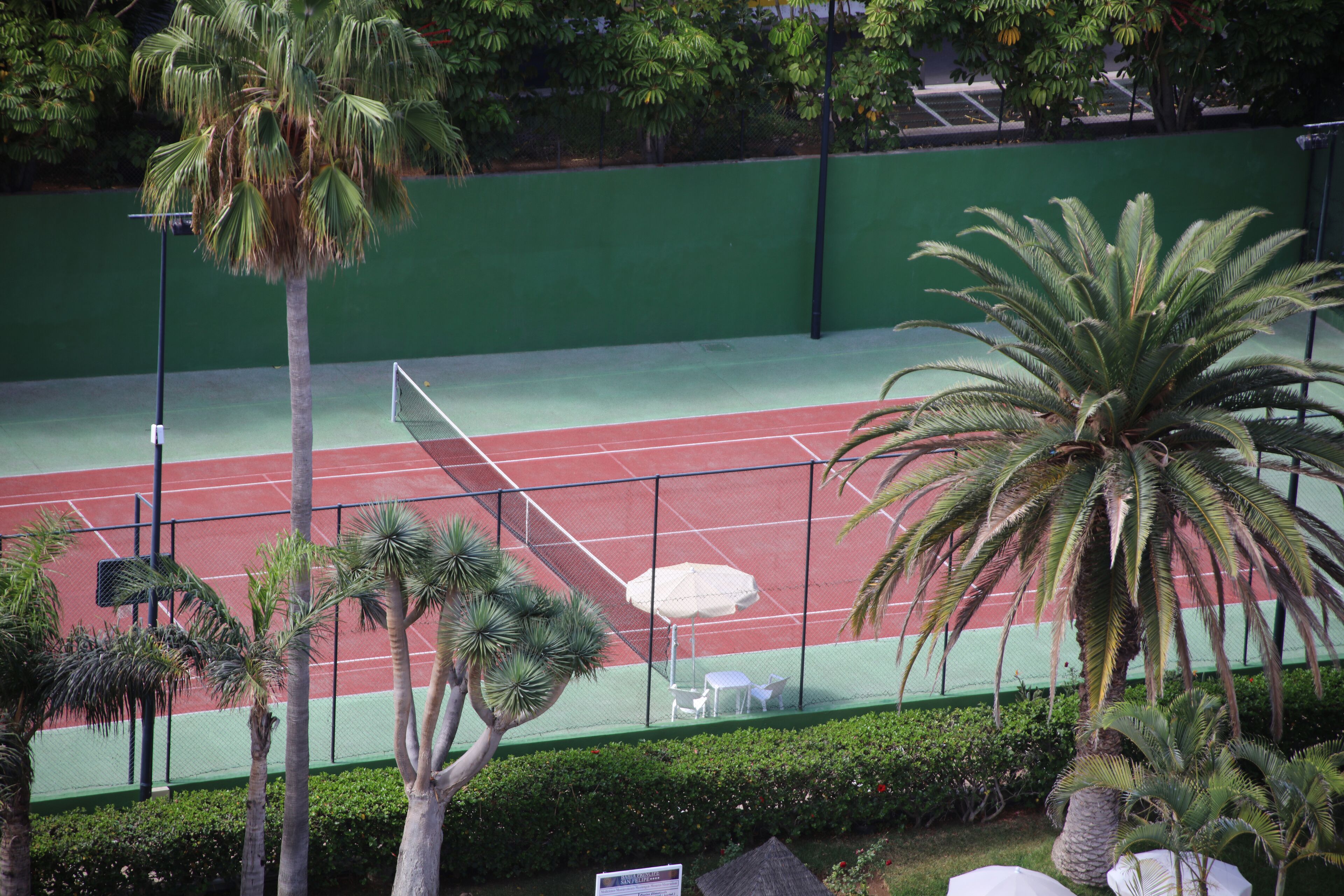 Ein Tennisplatz mit grünem Zaun, Palmen und einem weißen Sonnenschirm.