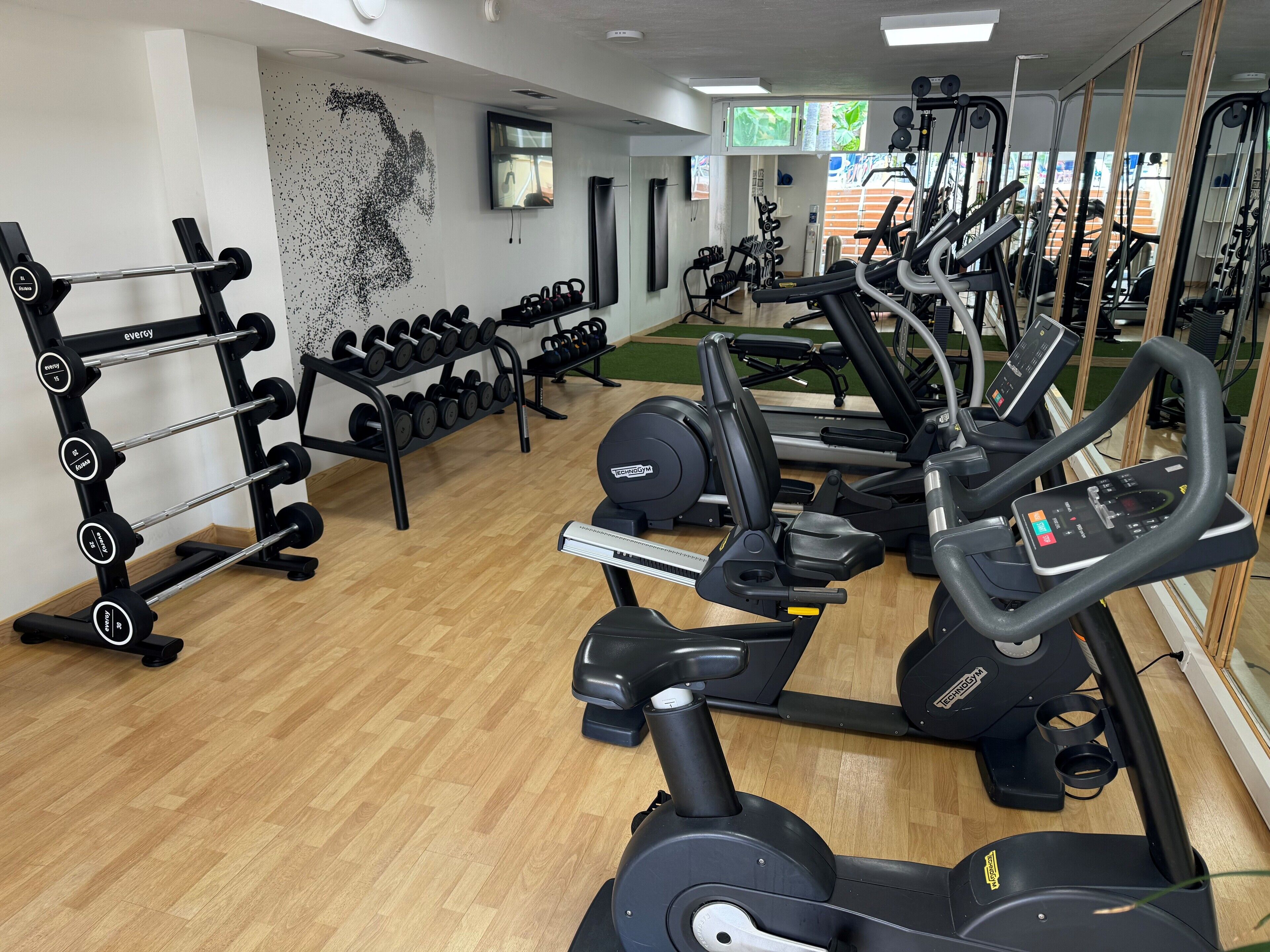 A gym with treadmills, elliptical machines, and a squat rack with dumbbells.