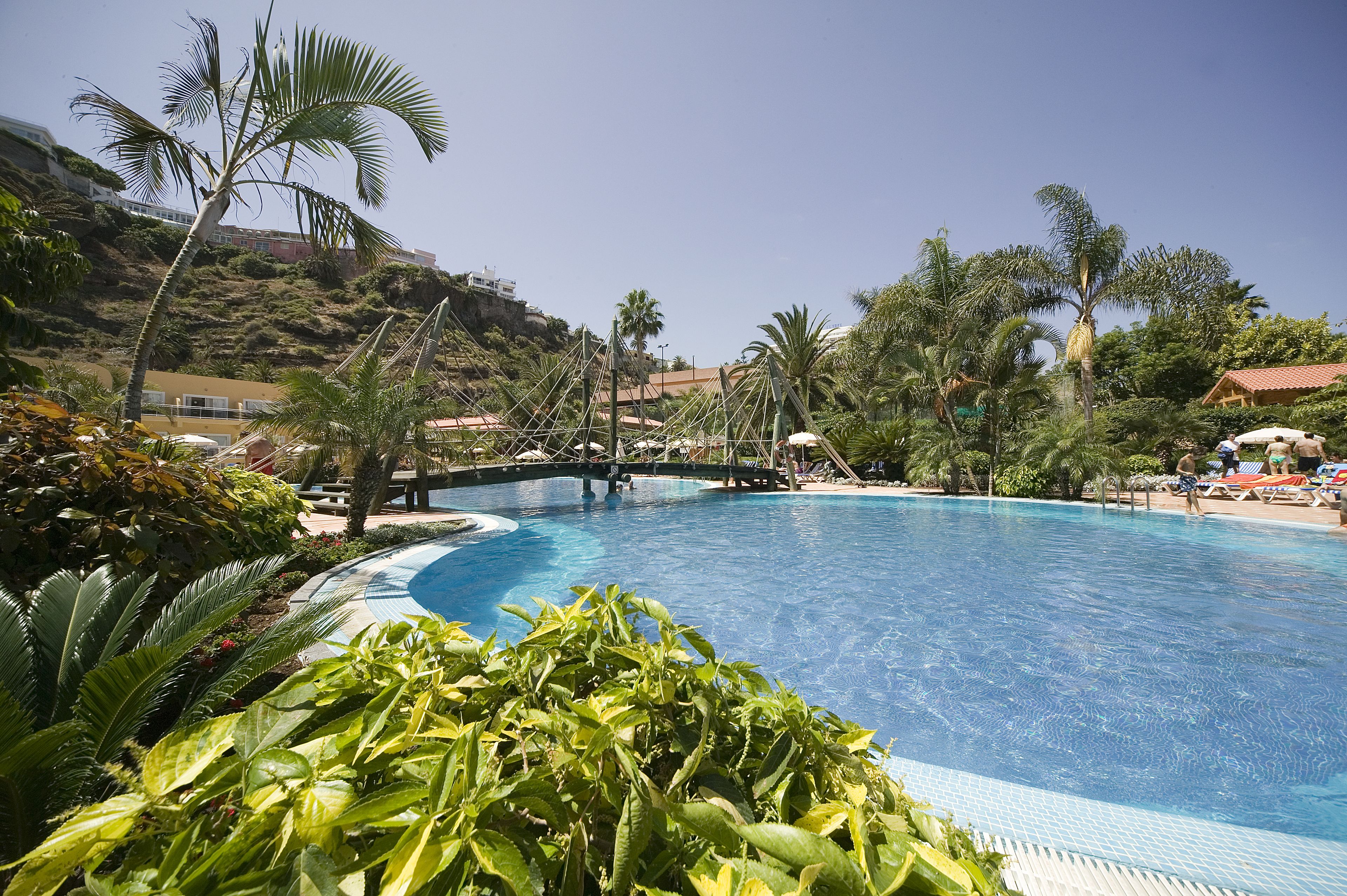 A large outdoor swimming pool surrounded by lush greenery and palm trees, with a bridge crossing over the pool.