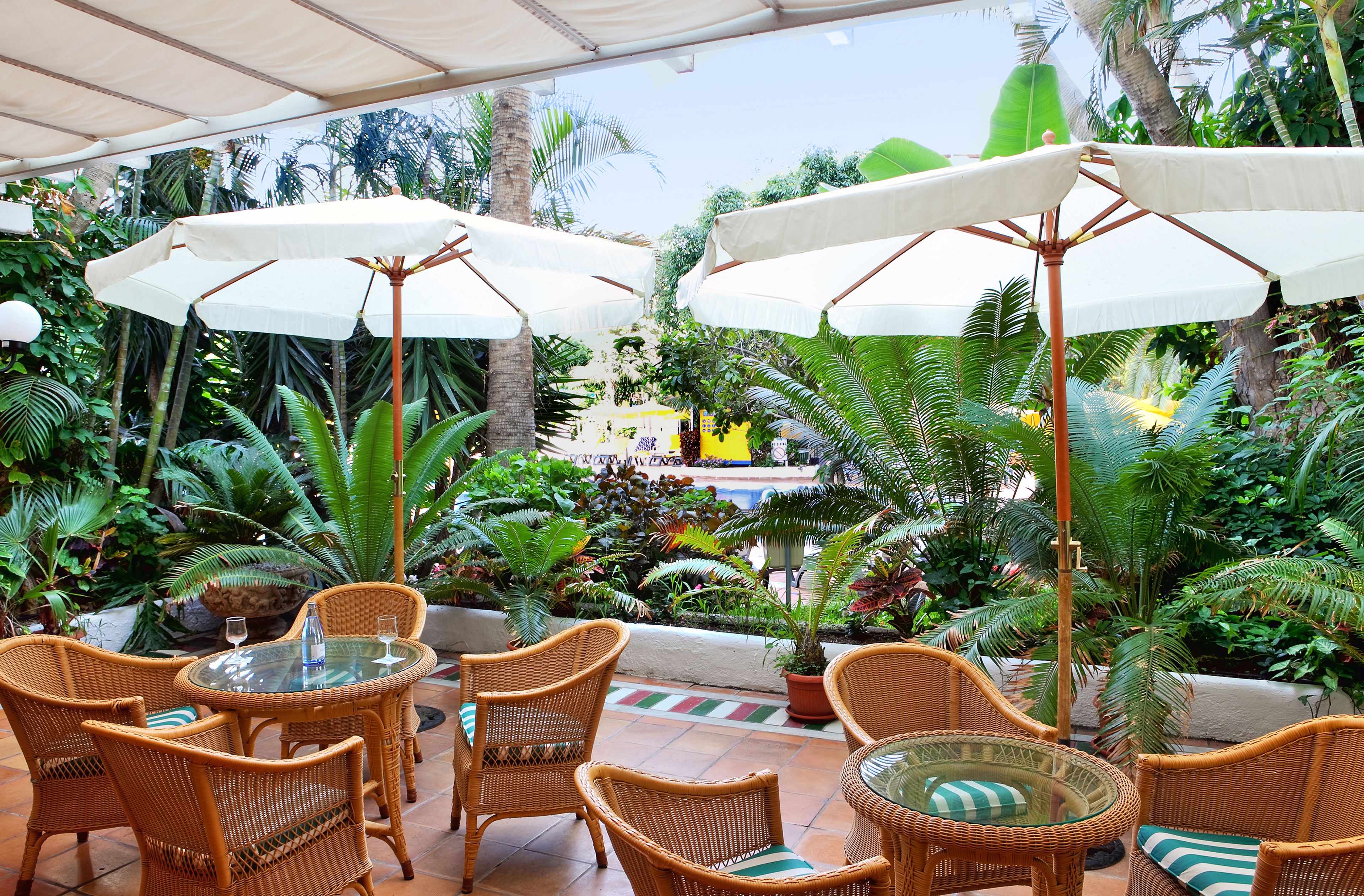 A patio area with wicker furniture, white umbrellas, and lush tropical plants.