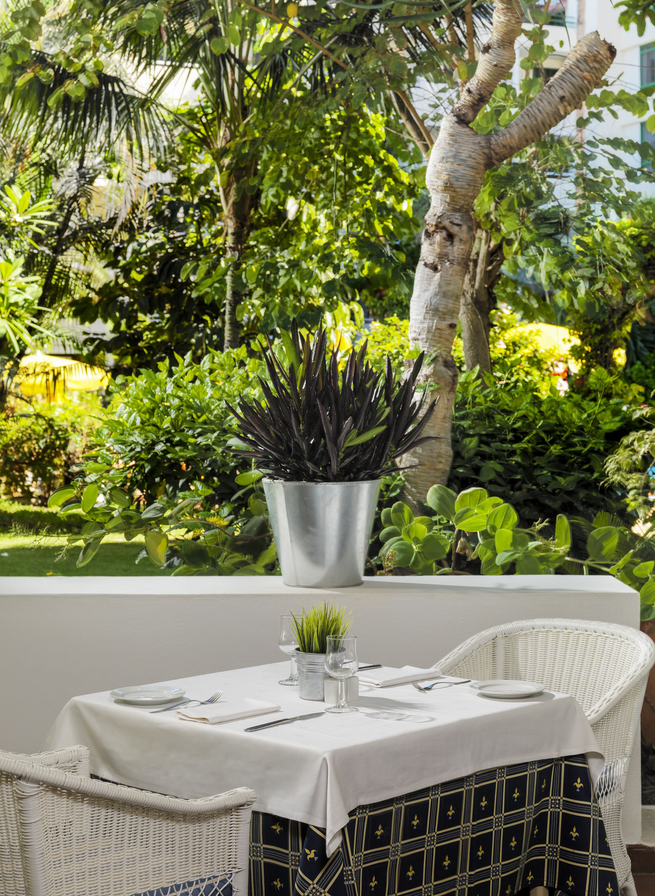 A table set outdoors with a potted plant, surrounded by lush greenery and a white wicker chair.
