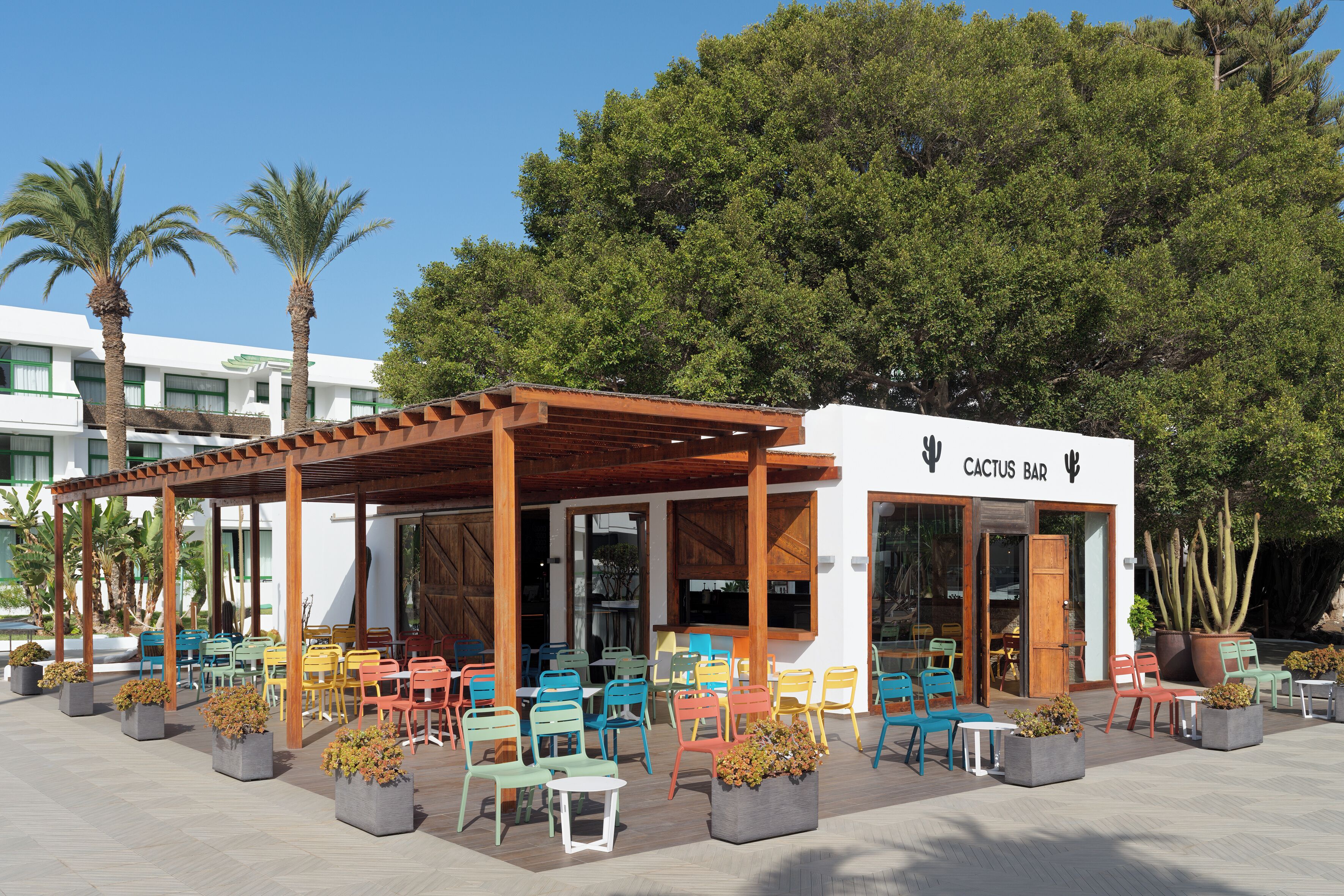 An outdoor seating area with colorful chairs and tables, a wooden pergola, and a building labeled 'CACTUS BAR' with cactus plants outside.