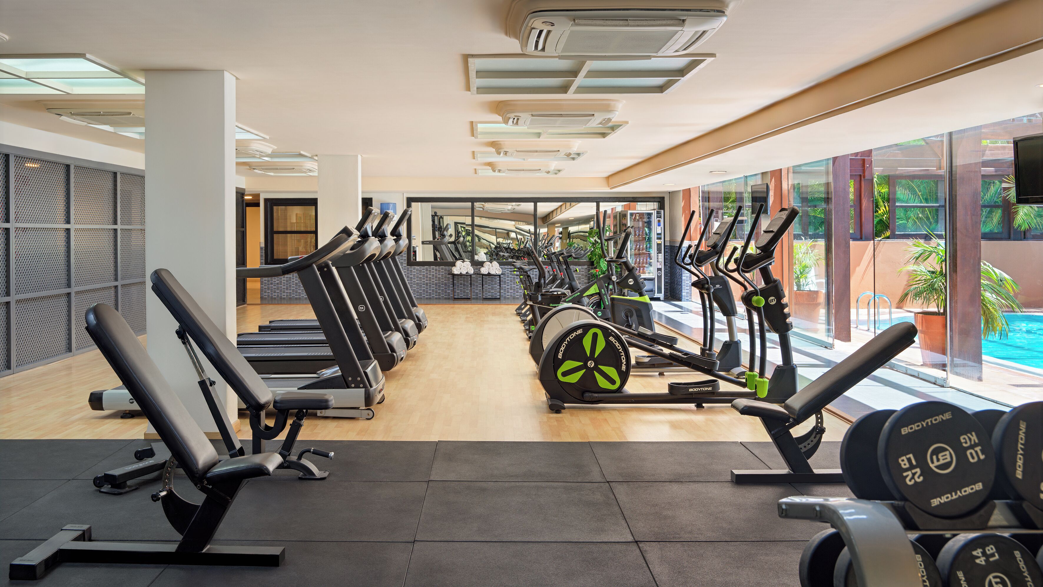 A gym with treadmills, elliptical machines, and weight benches.