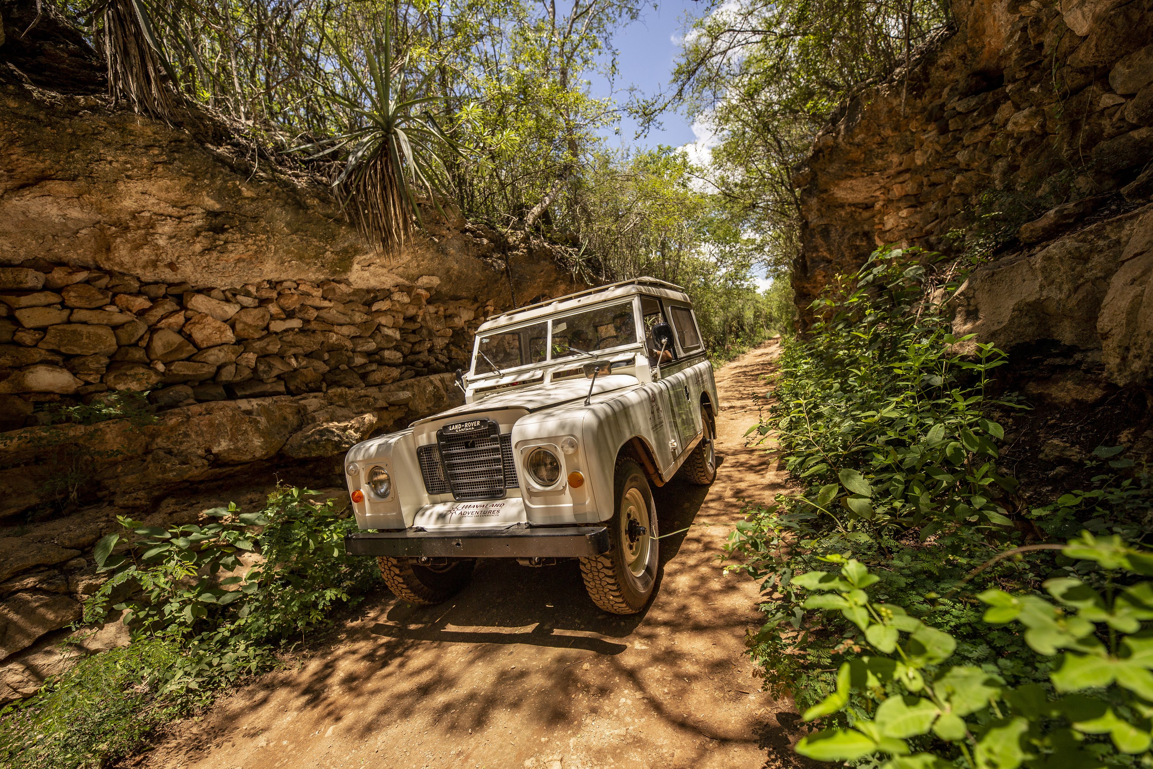A vintage Land Rover navigating a narrow, rocky path surrounded by lush greenery.