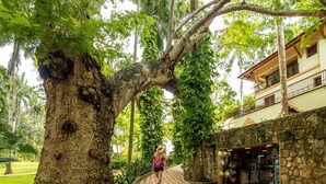 A pathway leading to a building with a stone facade and a balcony. - Mayaland Hotel & Bungalows (Chichen Itza)