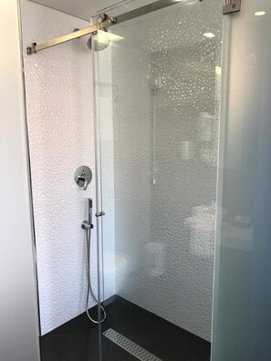 Combined shower/bathtub, free toiletries, hair dryer, bidet