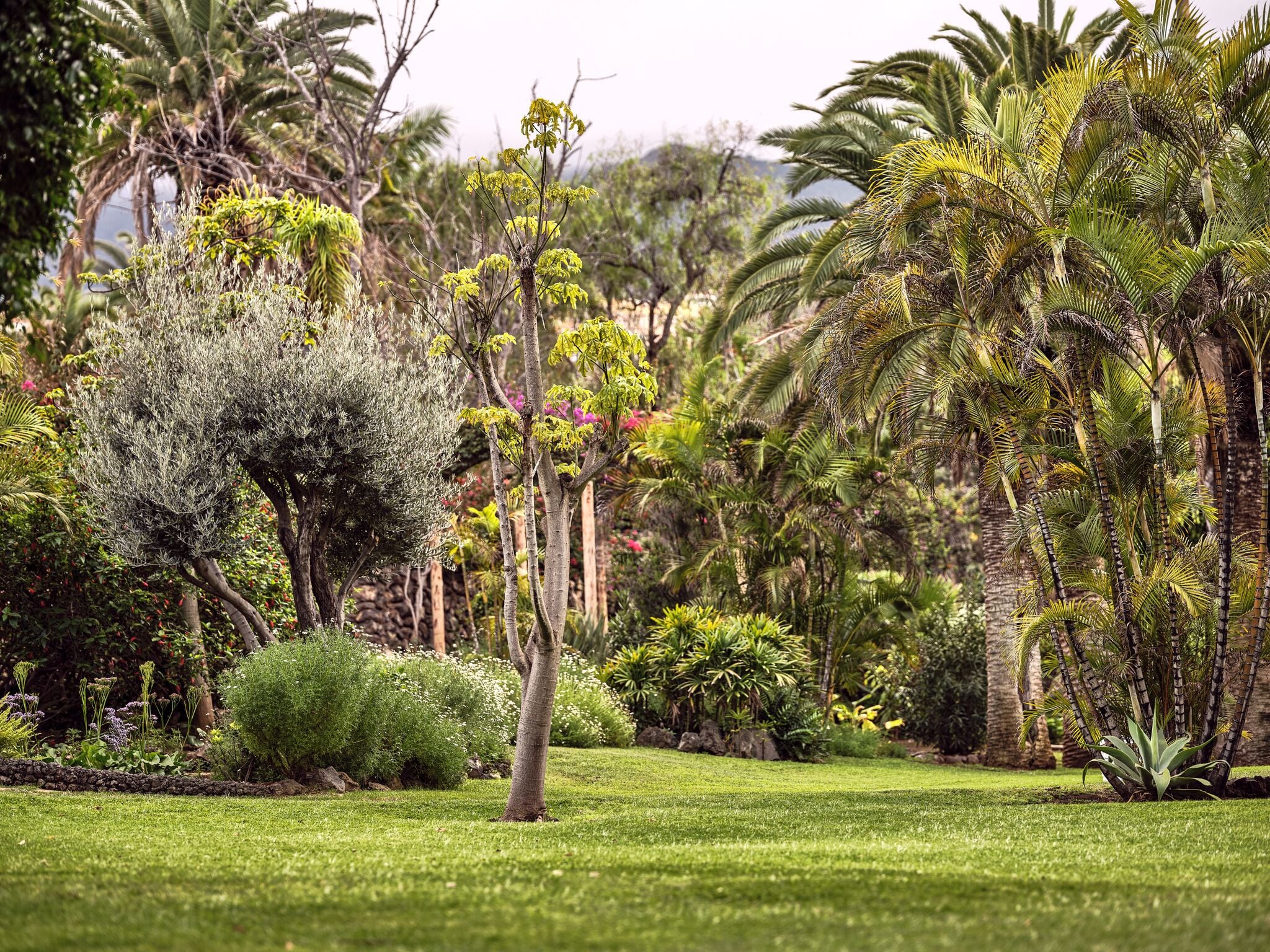 Foto - Precise Resort Tenerife