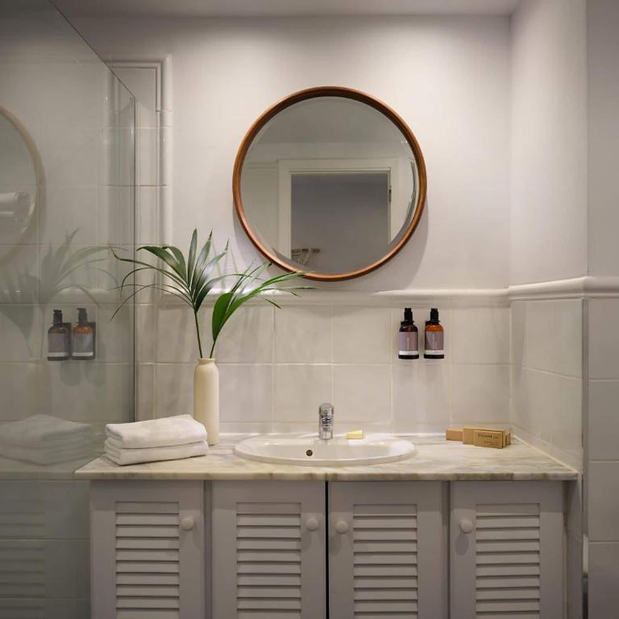 A bathroom with a round mirror, a sink, a potted plant, and toiletries on the wall.