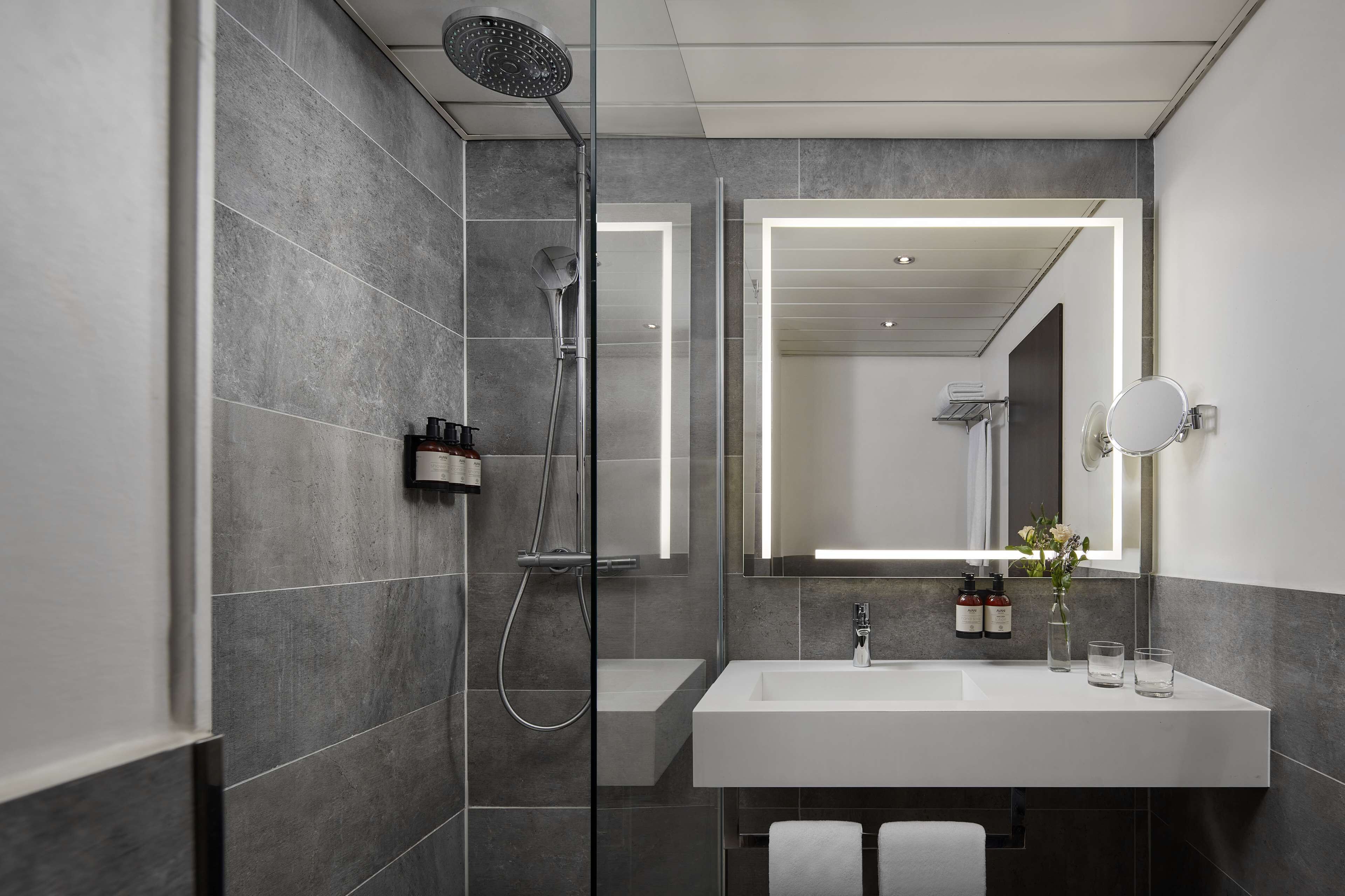 eco-friendly toiletries, hair dryer, towels, soap