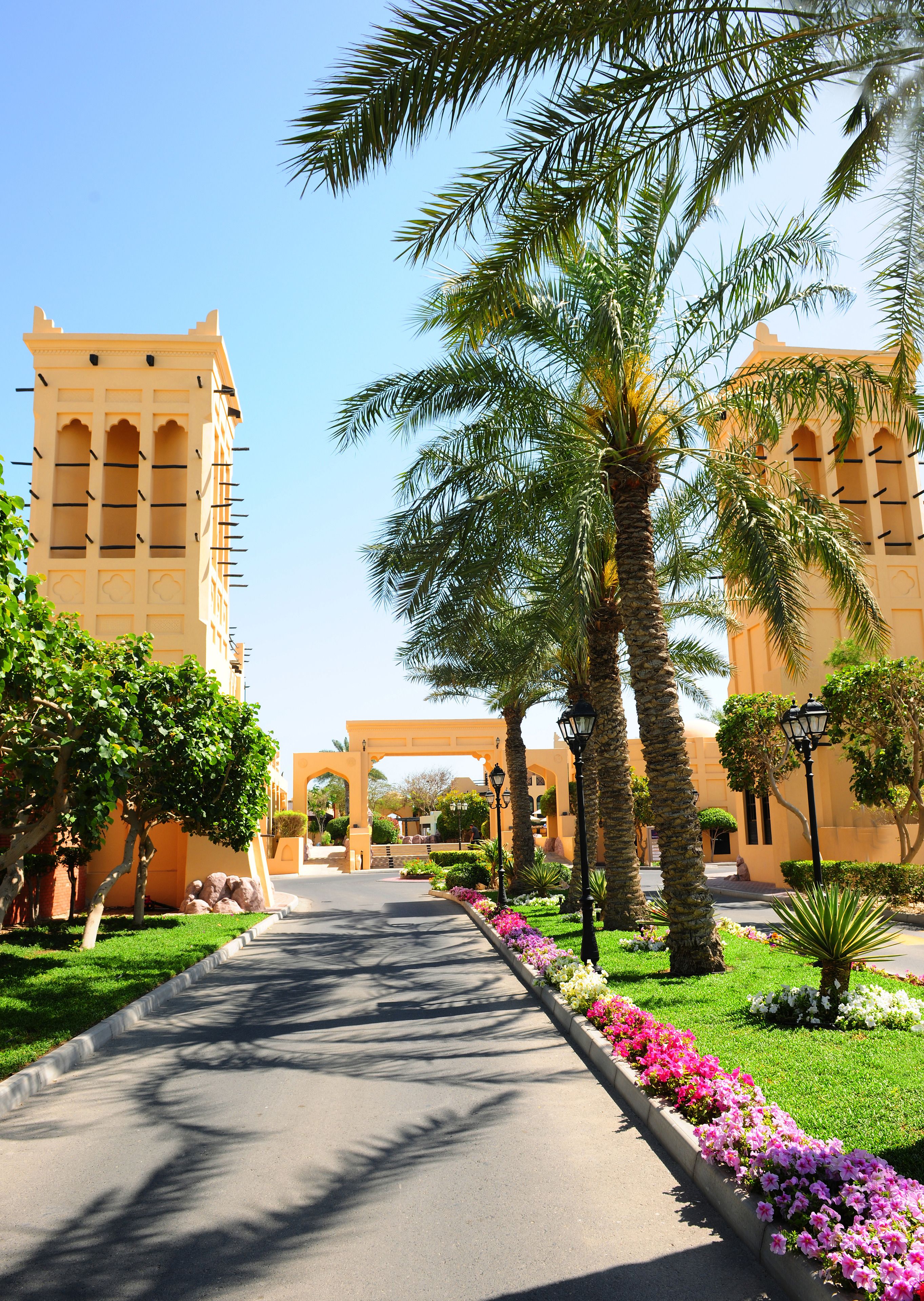 A pathway flanked by palm trees and a building with arched windows.