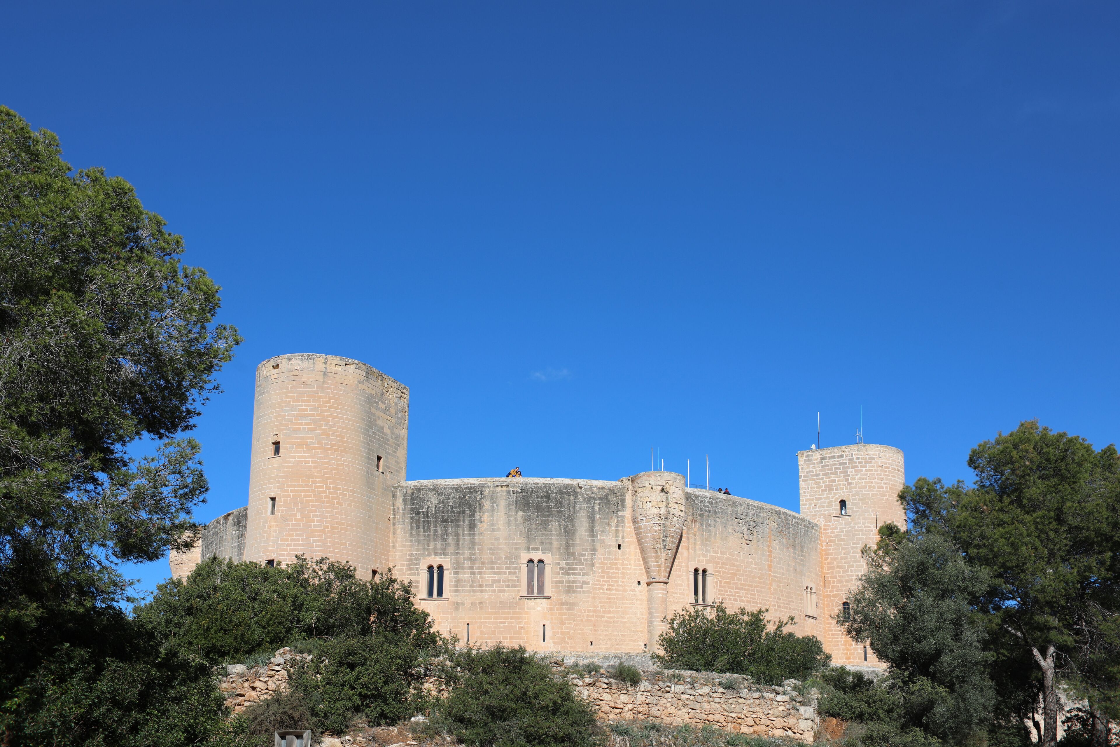 land view from property