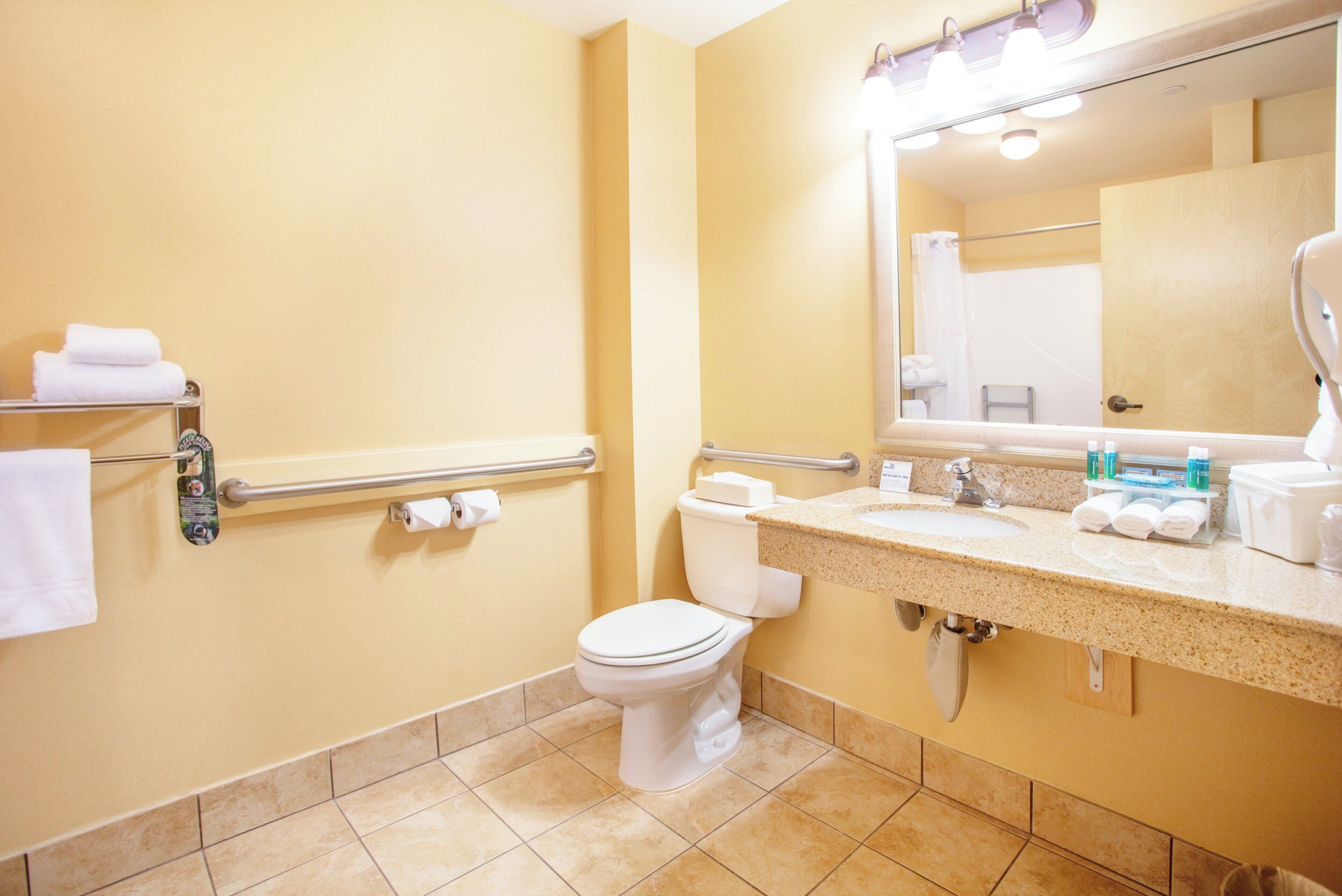 A bathroom with a toilet, sink, and handrails.