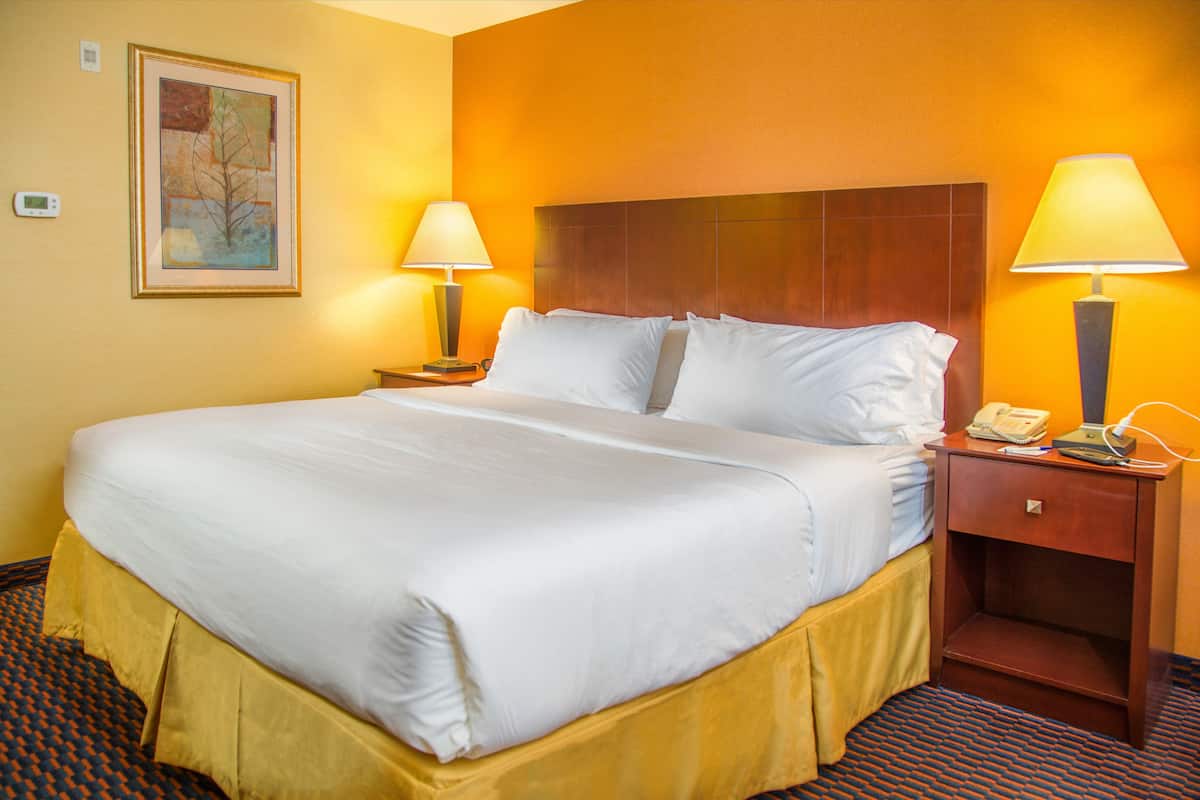 Habitación de hotel con una cama grande, dos mesitas de noche con lámparas, un cuadro en la pared y suelo alfombrado.
