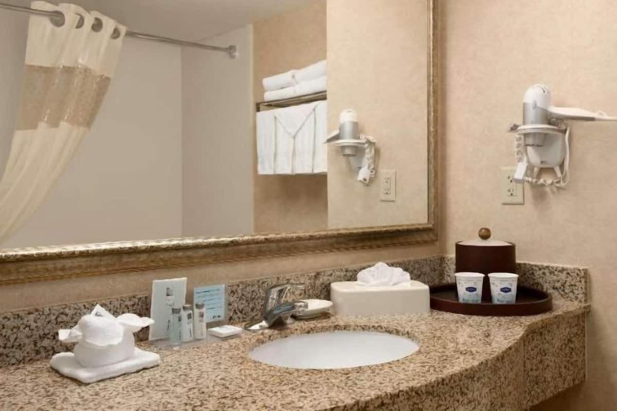 Baño | Amenidades de baño gratuitas, secadora de cabello, toallas