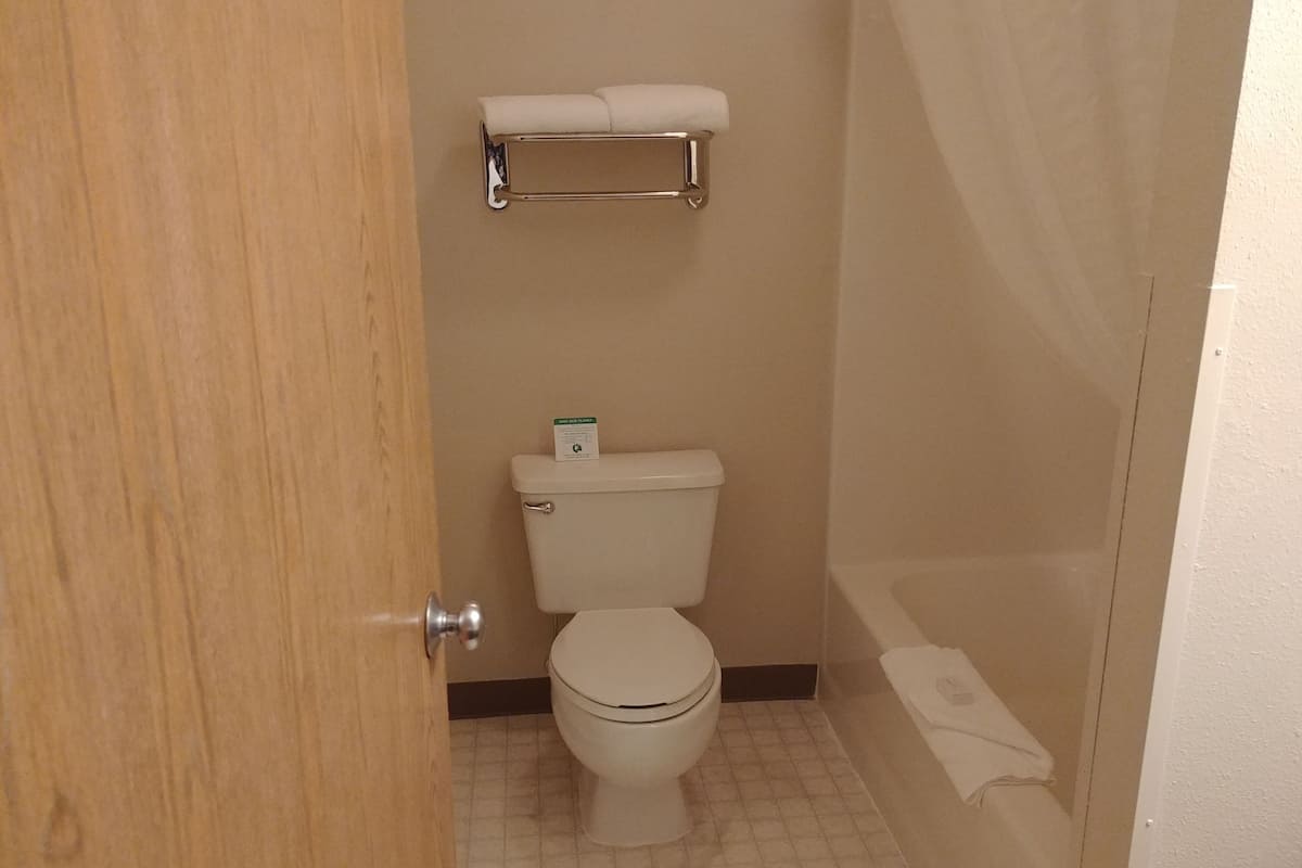 combined shower/bathtub, hydromassage showerhead, free toiletries