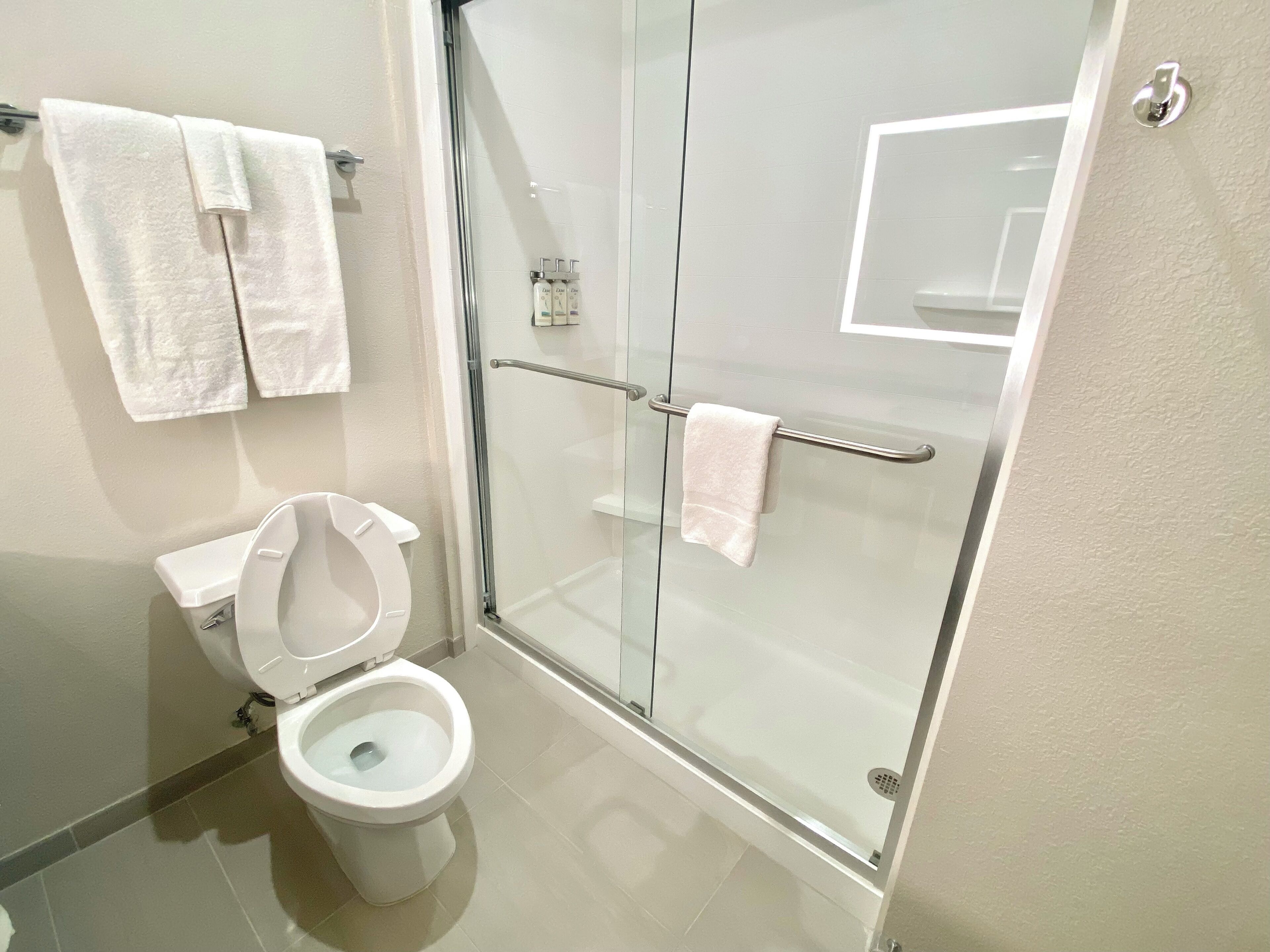 combined shower/bathtub, free toiletries, hair dryer, towels