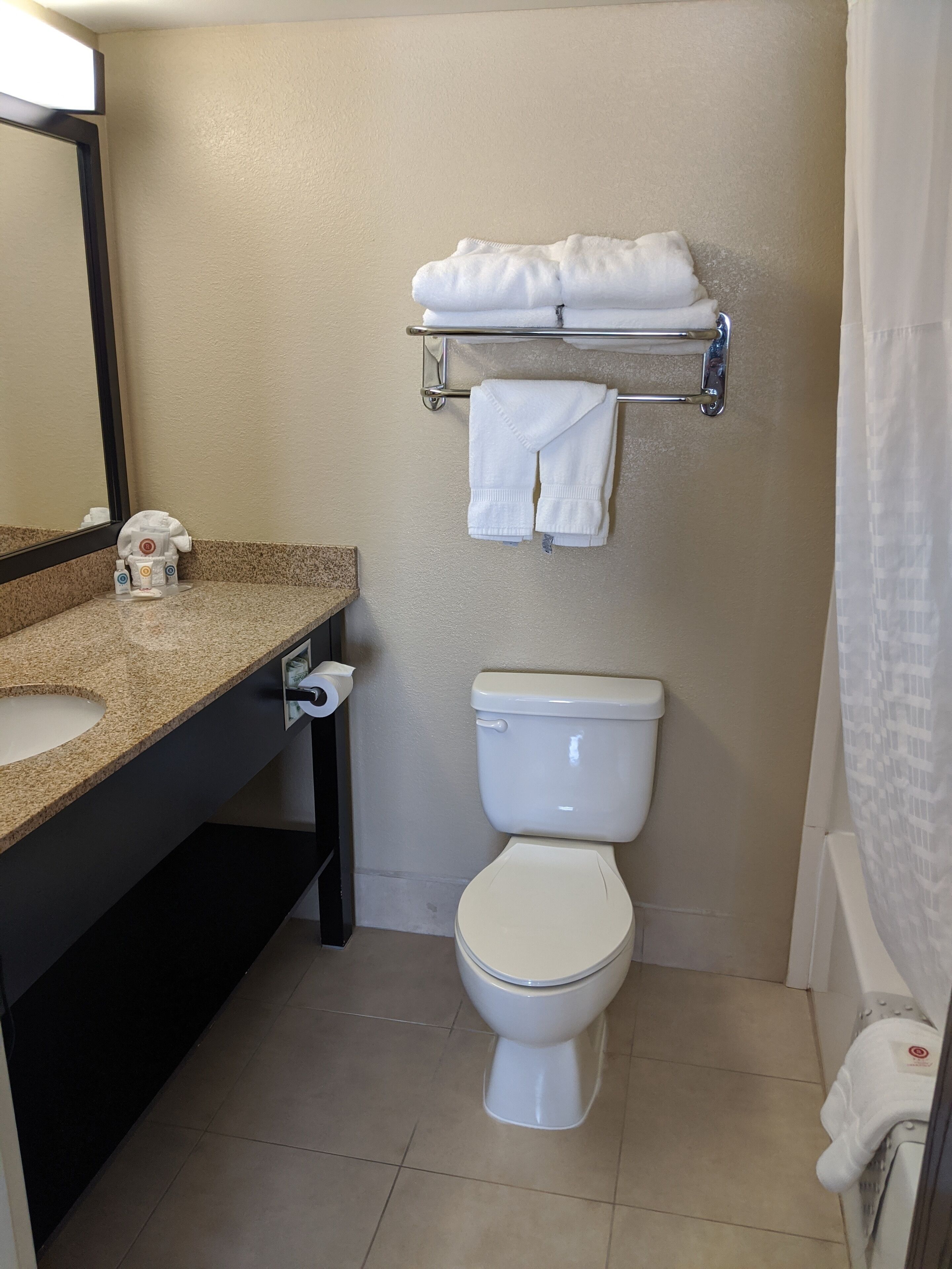 combined shower/bathtub, free toiletries, hair dryer, towels