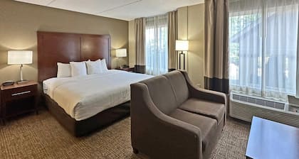 Comfort Suites Concord Mills