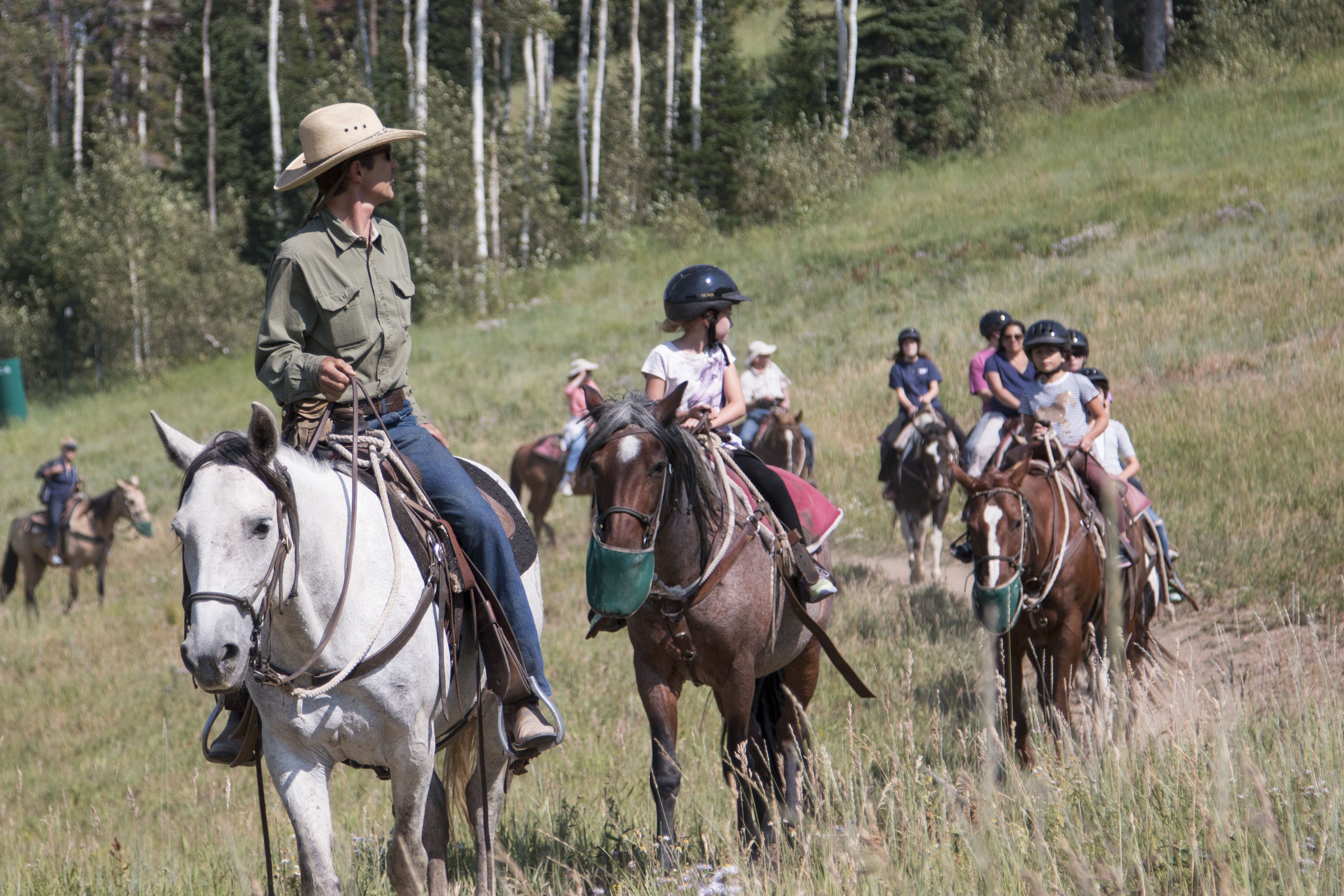 Un grupo de personas montando a caballo en un campo cubierto de hierba, con árboles al fondo.