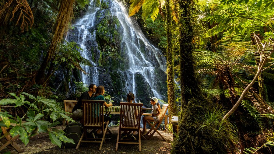 Treetops Lodge & Estate