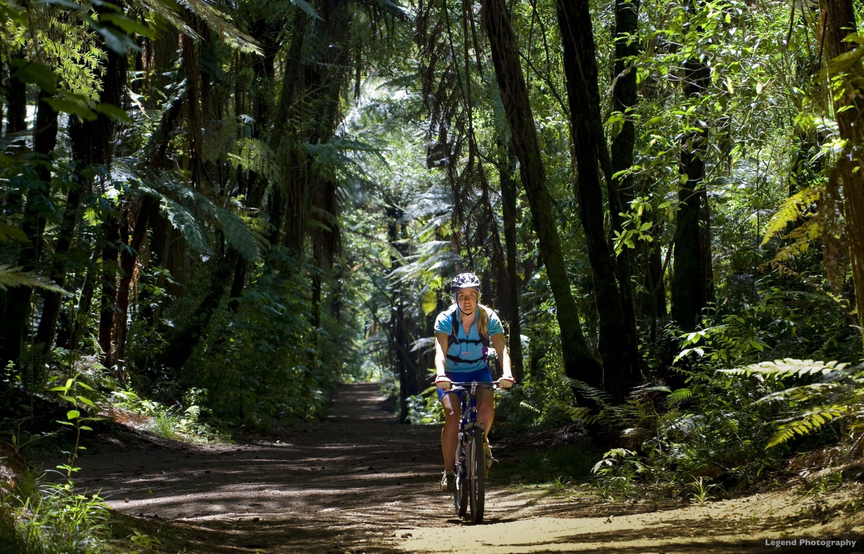 Un ciclista en un sendero boscoso, rodeado de abundante follaje y árboles.