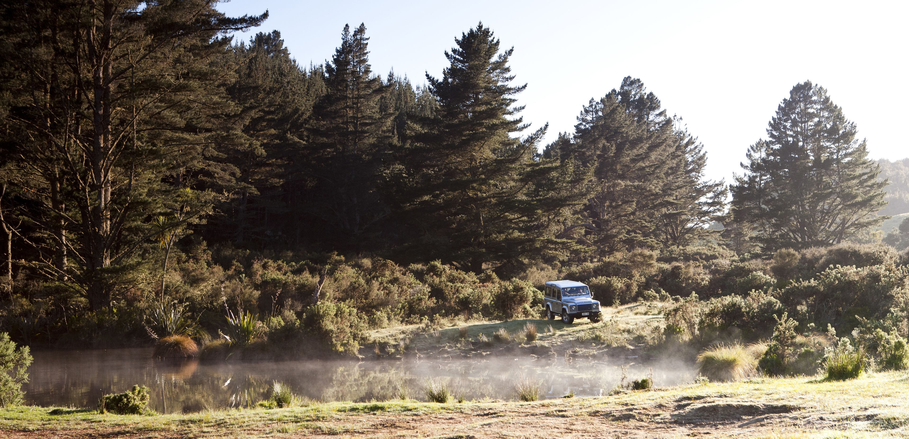 A vehicle driving on a dirt path surrounded by dense forest.