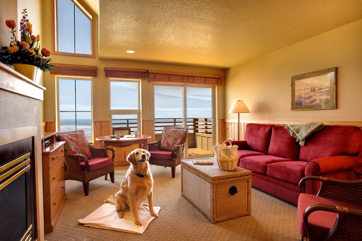 Ocean View Queen Suite with Sofa Sleeper (Pet Friendly) | 高級寢具、熨斗/熨衣板、免費無線上網、床單