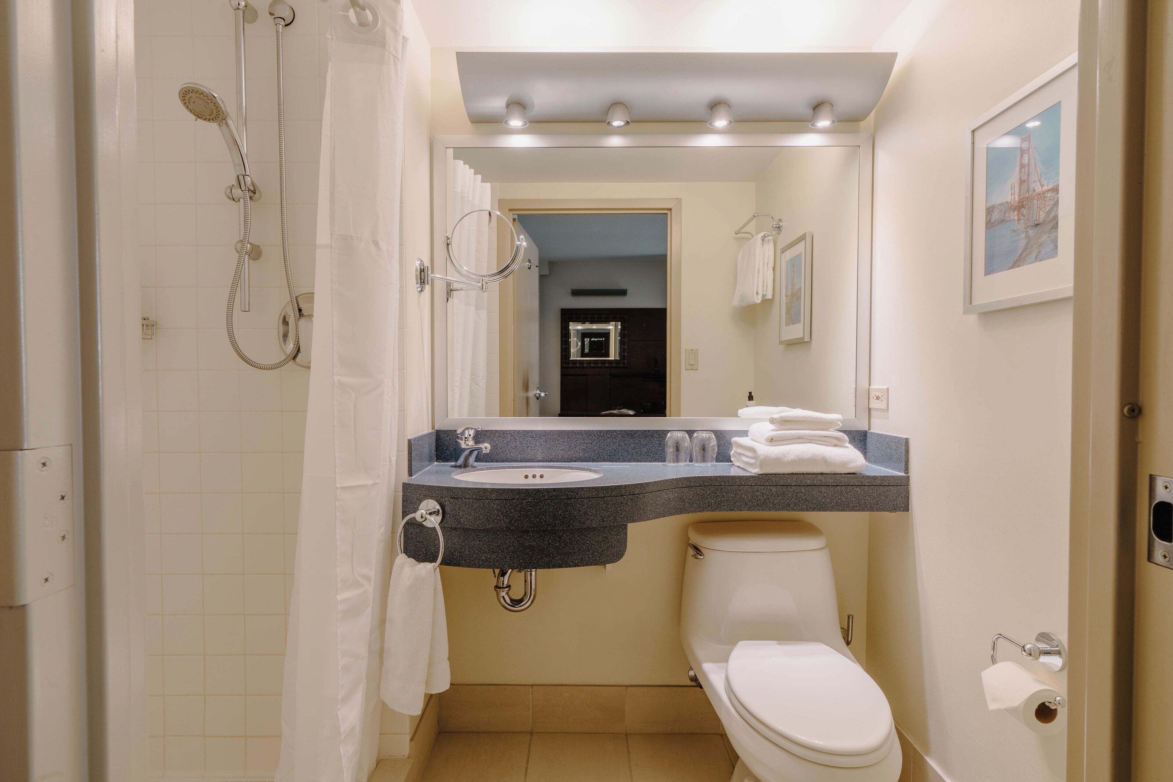 hair dryer, towels, soap, shampoo