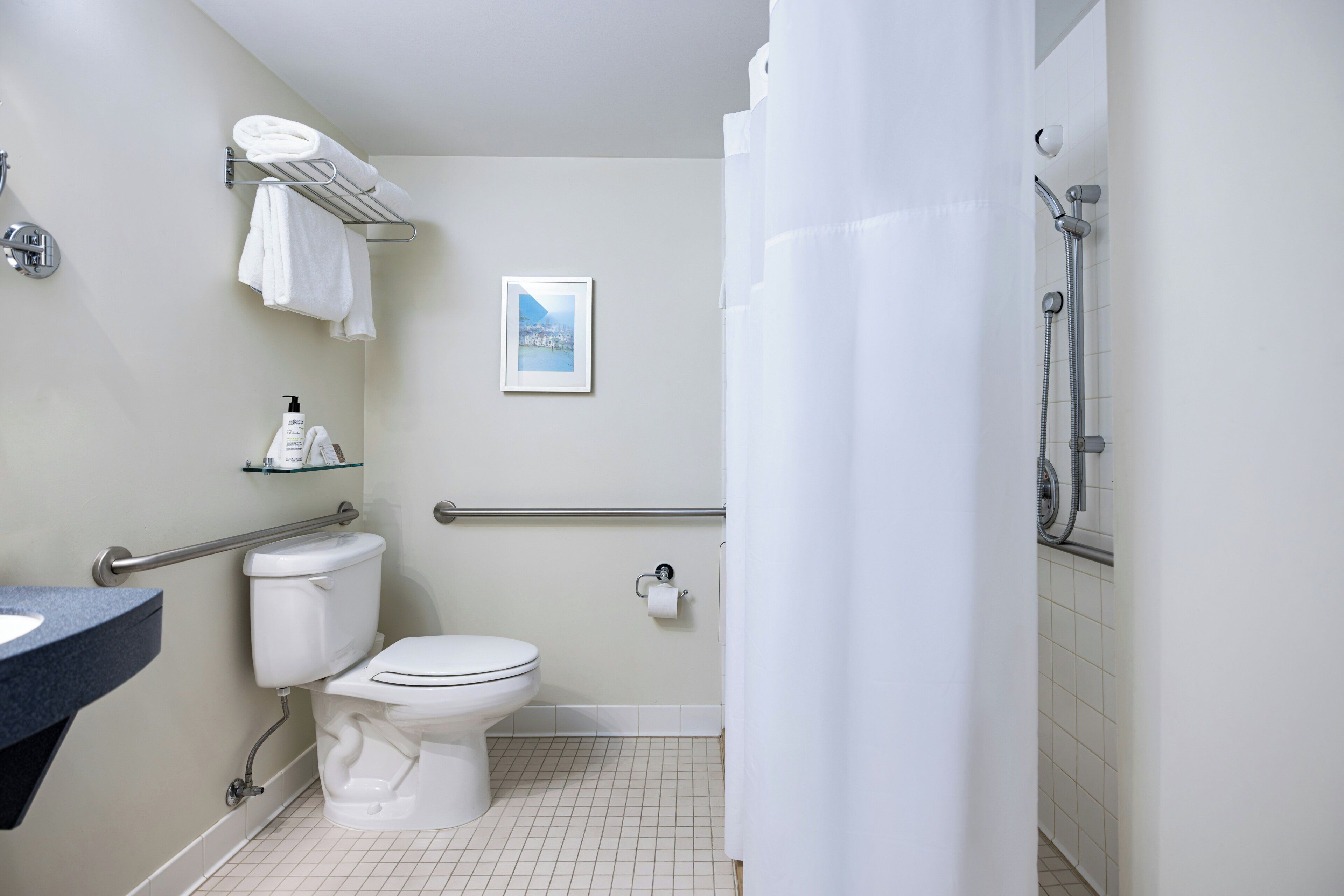 Een badkamer met toilet, douche, handdoekhouder, een foto aan de muur en een desinfecterende handgeldispenser.