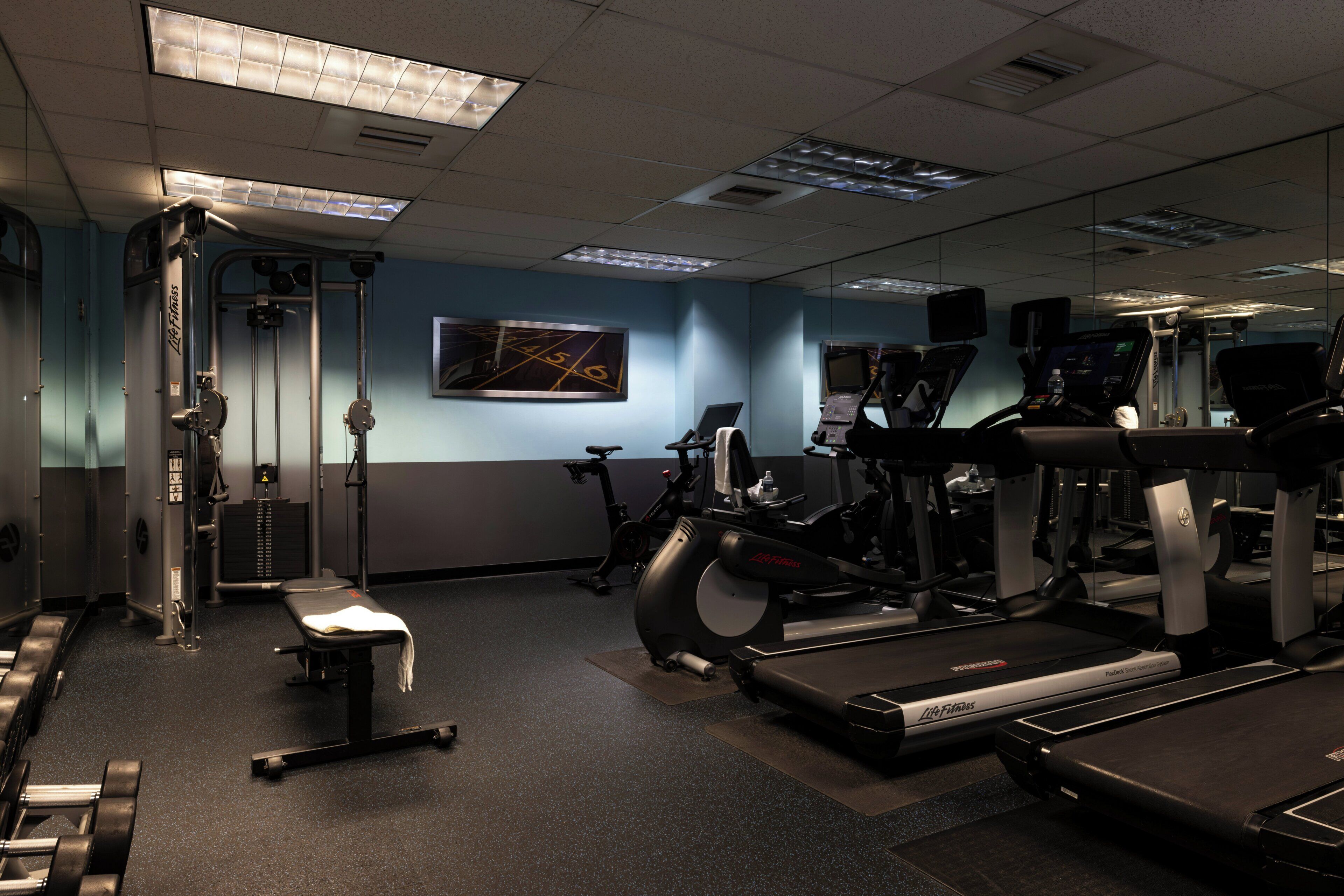 Une salle de sport équipée de matériel d’exercice, d’un banc et d’un mur recouvert de miroirs.
