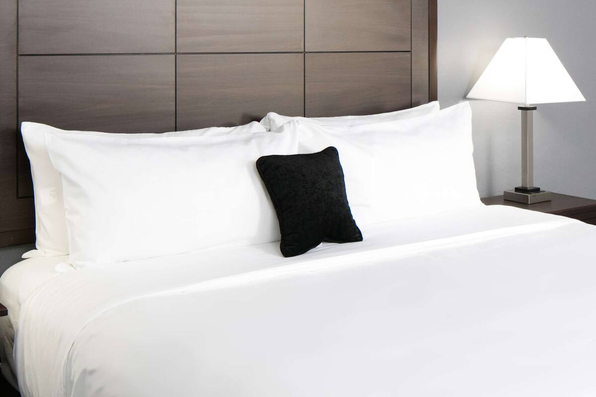 A neatly made bed with white linens and a black pillow, a bedside lamp, and a wooden headboard.