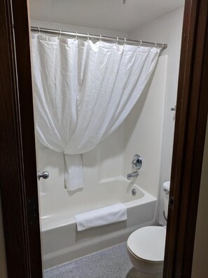 Free toiletries, hair dryer, bidet, towels
